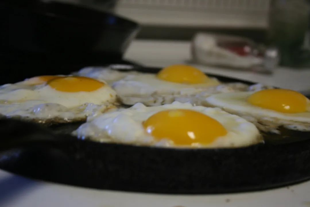 egg (2)