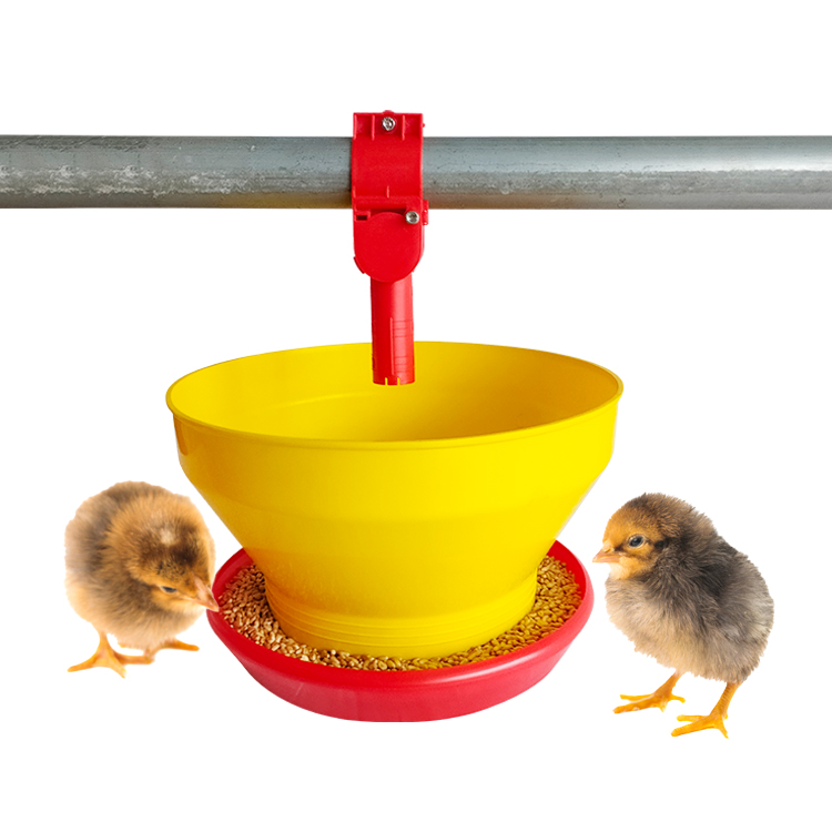 chicken feeder (8)