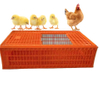 High Quality Plastic Transport Bird Cages For Live Chickens/chicken Transport Cages/poultry Transport Crate