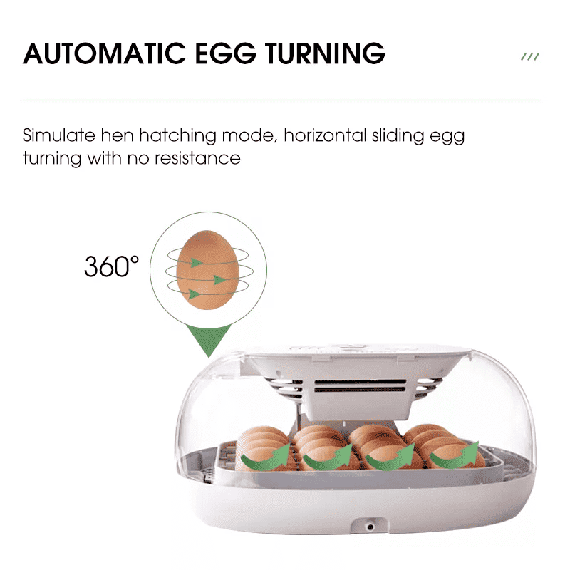 egg incubator (4)