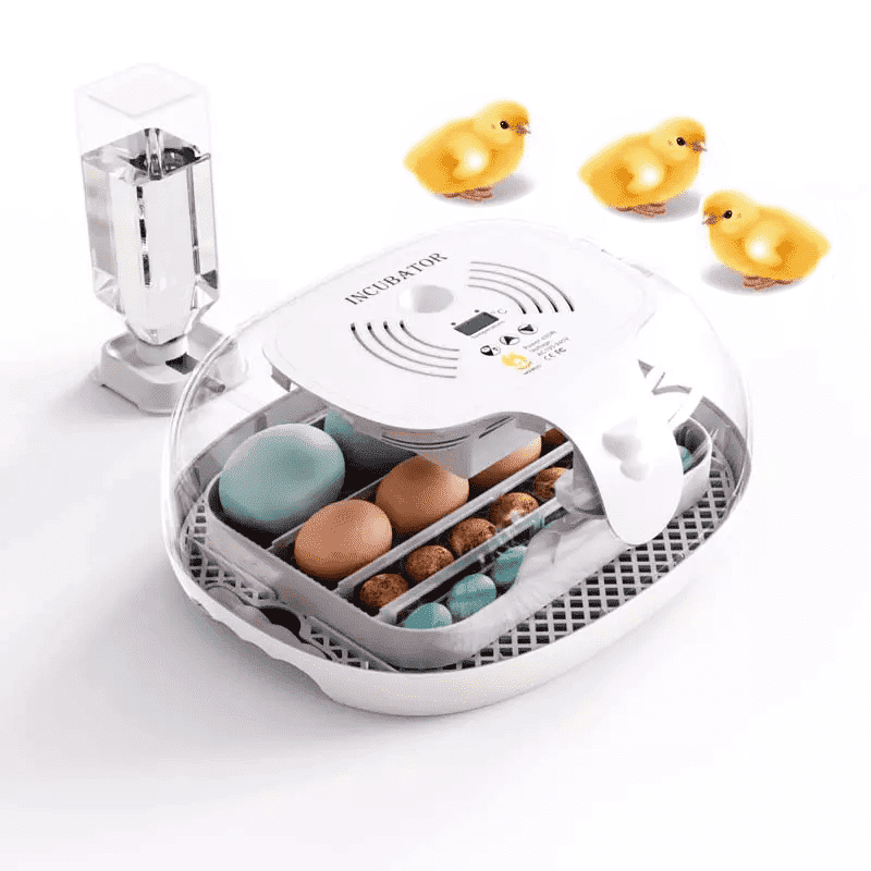 Automatic 16 Chicken Incubator And Hatching Machine Egg Incubator