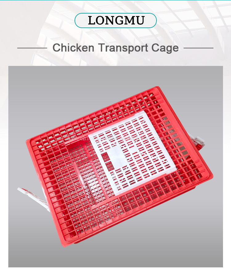 transport cage (12)