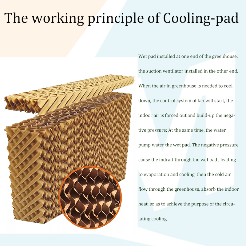 cooling pad