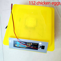 Mini Fully Automatic Chicken Egg Incubators Hatching Eggs Machine for 112 Home Egg Incubators