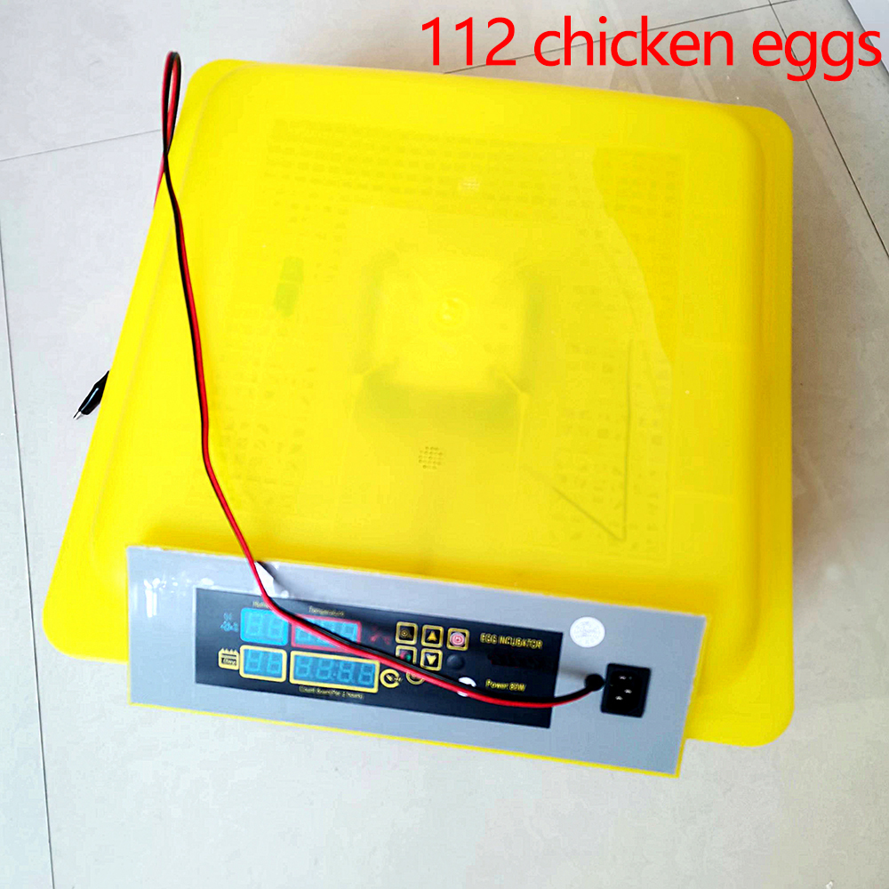 Mini Fully Automatic Chicken Egg Incubators Hatching Eggs Machine for 112 Home Egg Incubators