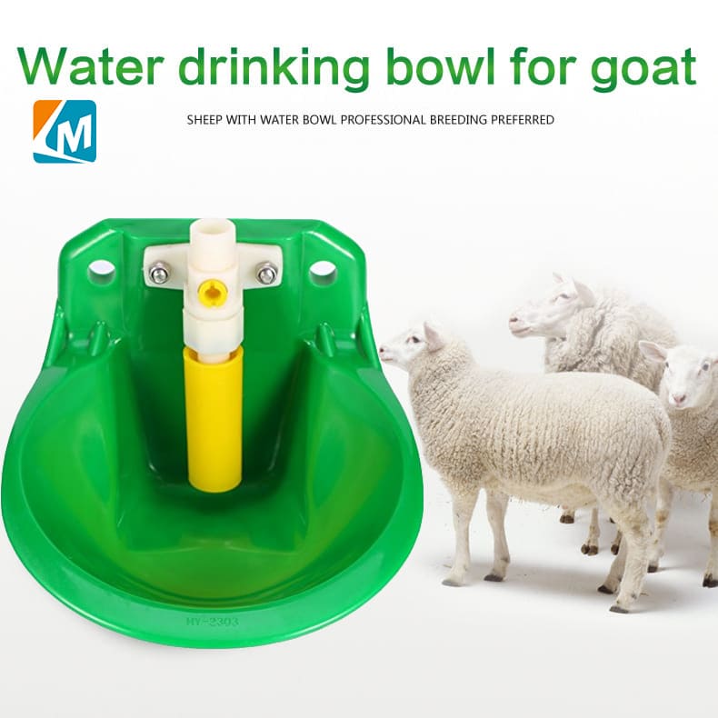 goat drinking bowl