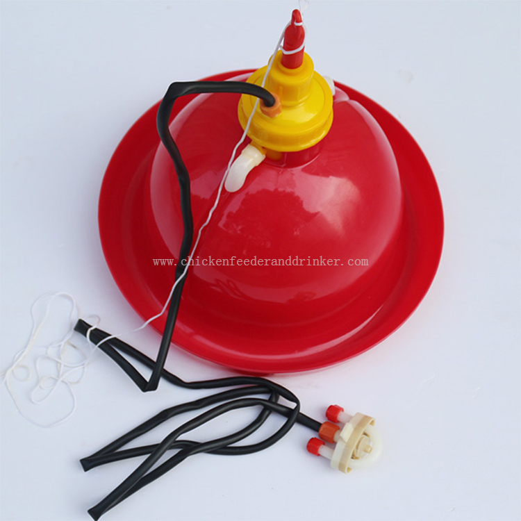 Plasson Automatic Drinking Fountain Chicken Water Feeder Chicken Farm Feed Chicken Drinking Pot LM-68