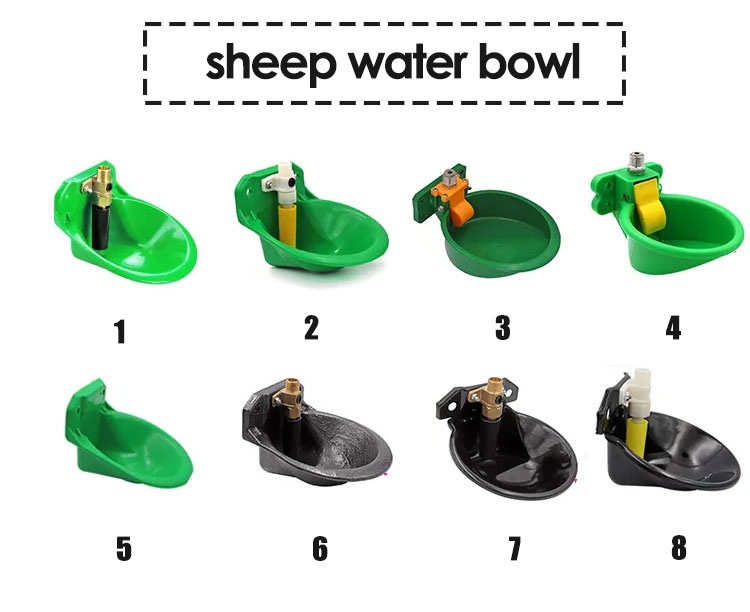 sheep water bowl