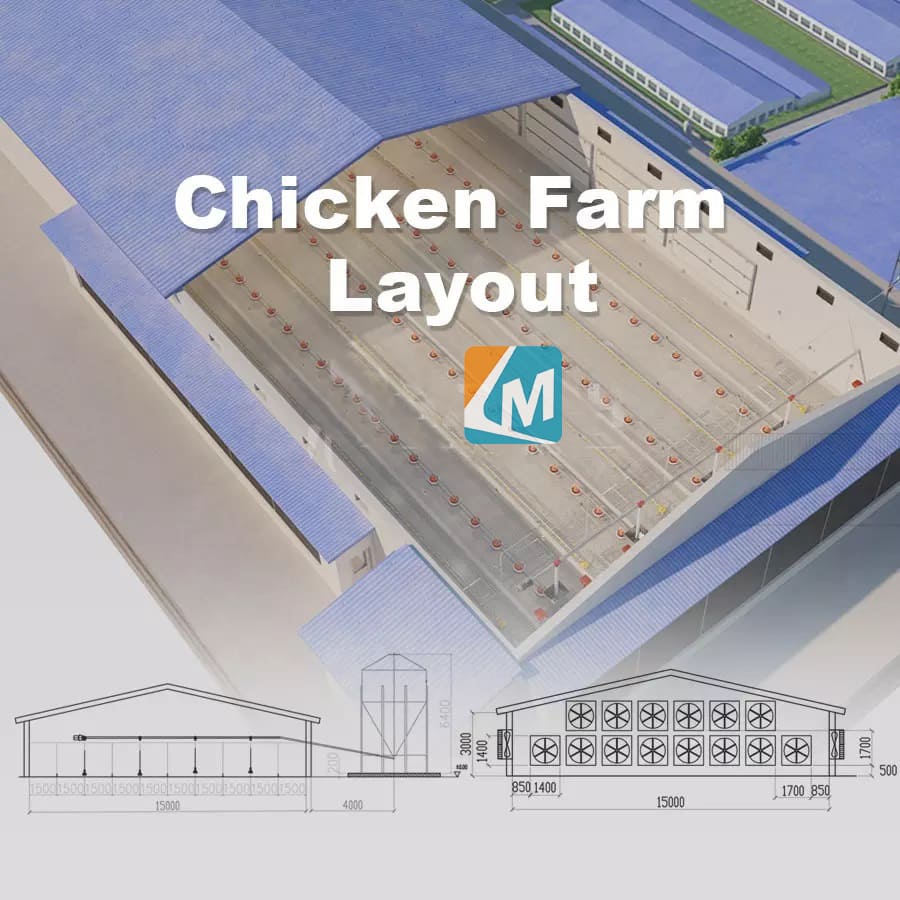 Factory Price Chicken Equipment Feeding Line Poultry Chicken Feeding And Drinking Line Accessories