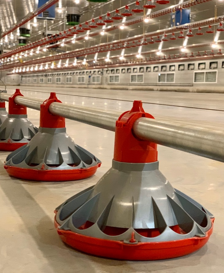 Selecting A Fully Automatic Chicken Feeding Pan Line