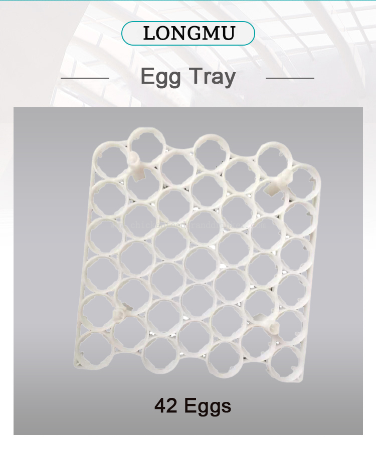 egg tray (5)