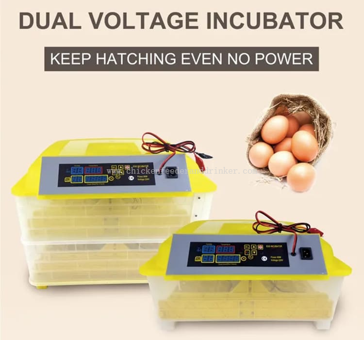 egg incubator (6)
