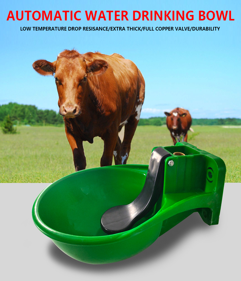 cattle drinker bowl (6)