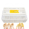 Chicken Transport Cage for Chicken Farms Poultry Equipment for Chicken Chick Broiler Hen 