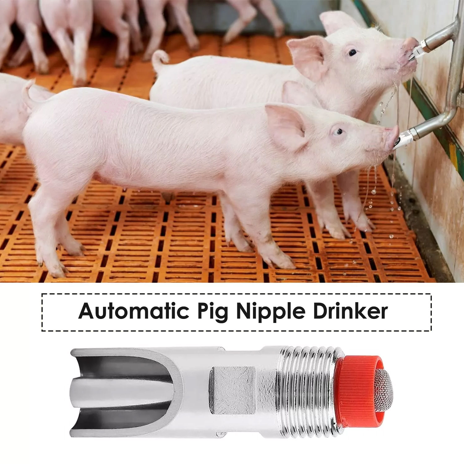 pig nipple drinker