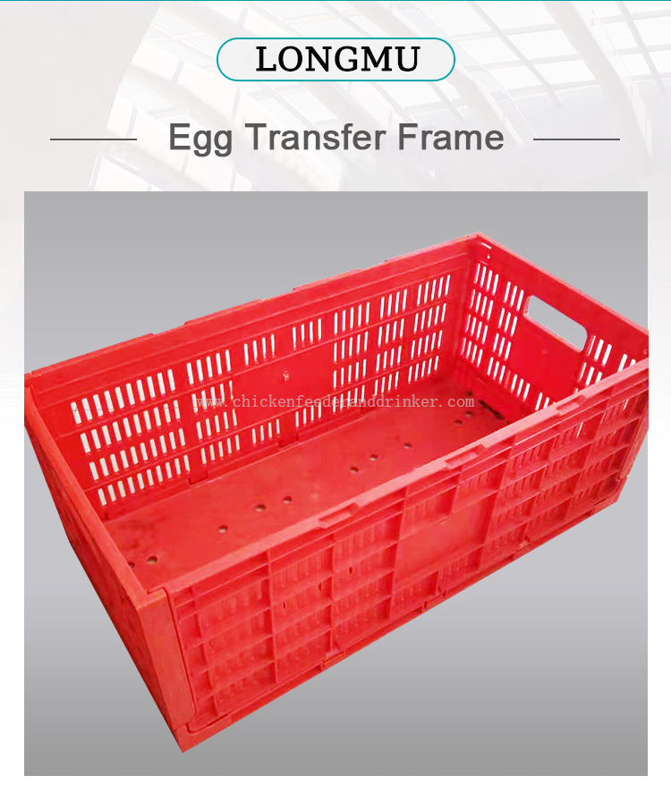 egg transport crate (1)