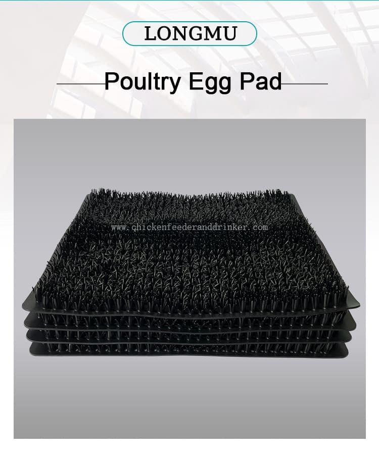 egg mat (2)
