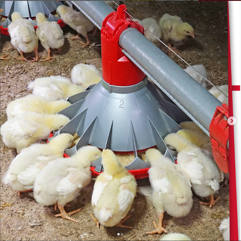 微信图片_20241225161328