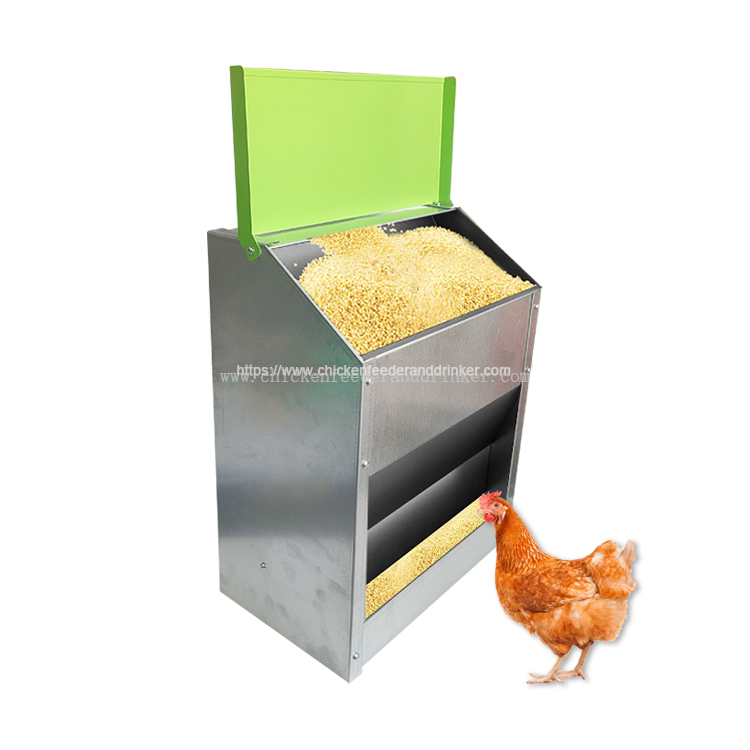 chicken treadle feeder (1)