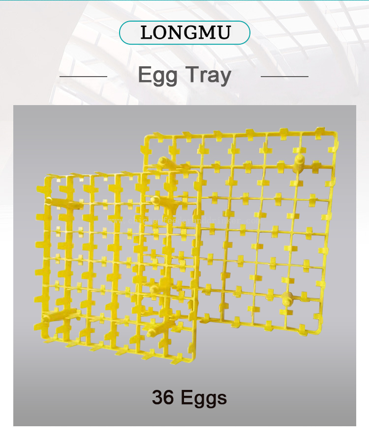 egg tray (4)