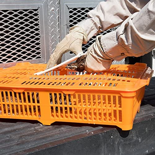 quail transport cage (12)