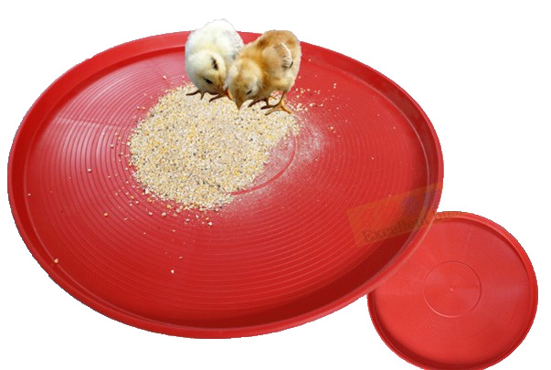 Baby Chicken Feeder Trays Poultry Farm PP Plastic Broiler Feeder Pan Round Chick Food Pan Feeding Plate LM-81