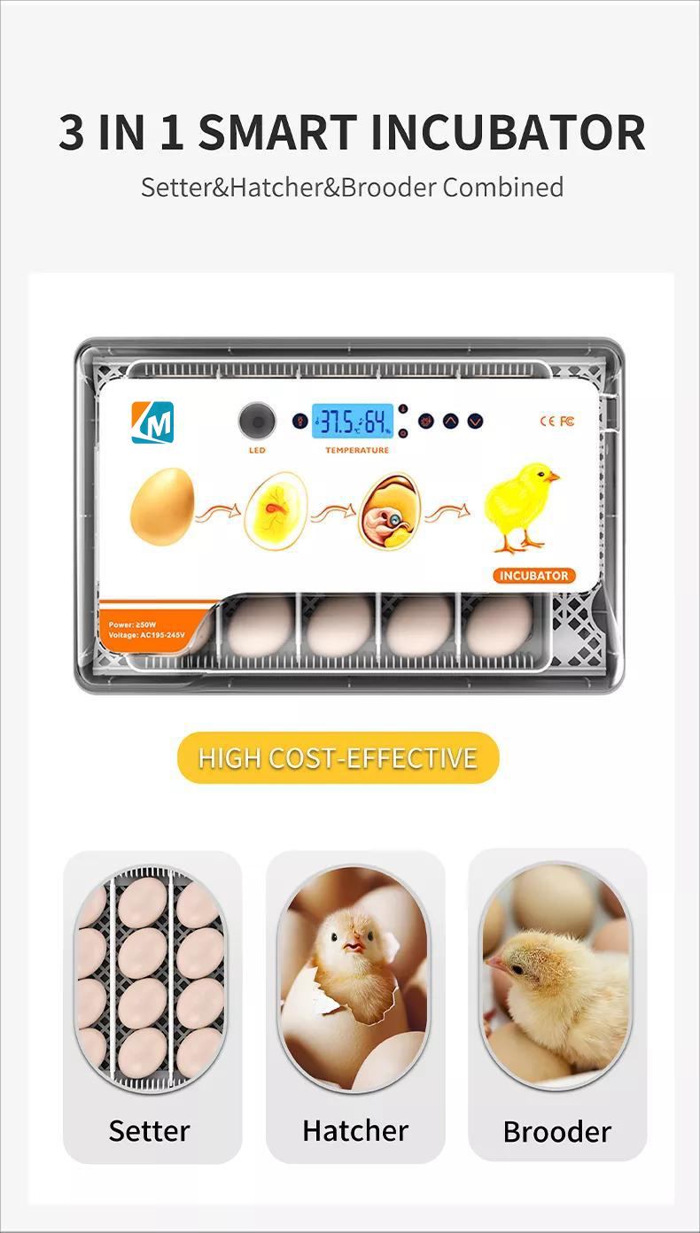 egg incubator (13)
