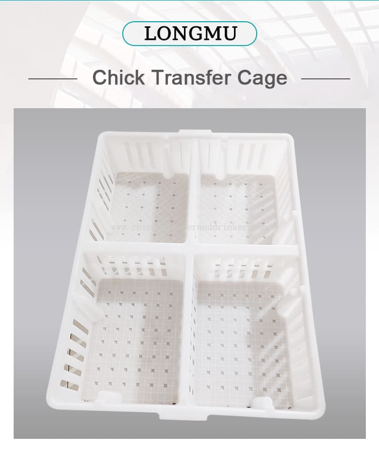 chick transport crate (2)