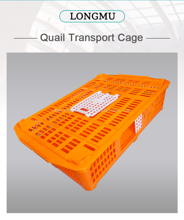 quail transport cage (2)