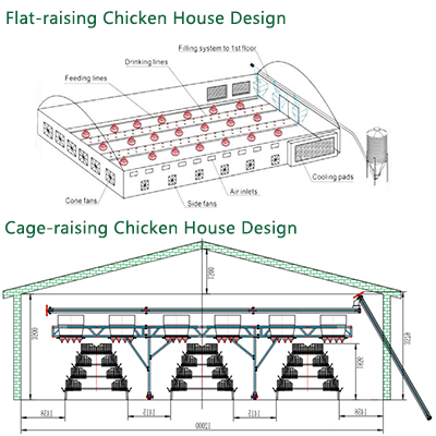 chicken house design