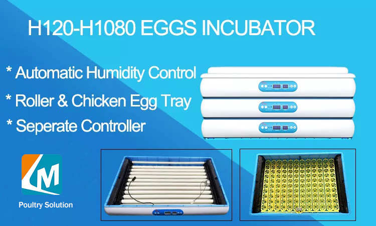 egg incubator (5)