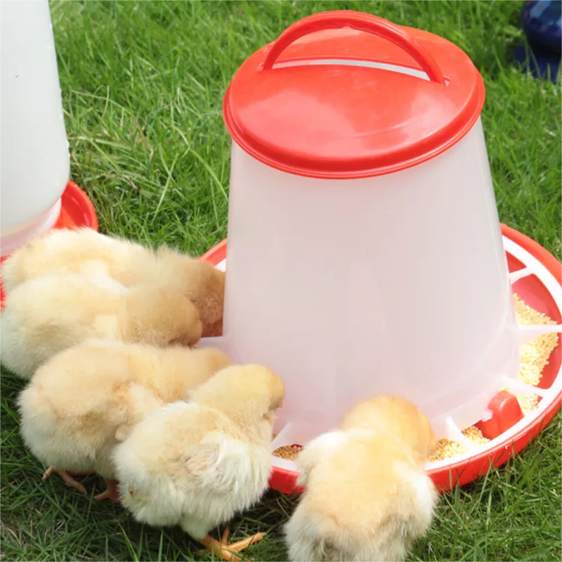 chicken feeder bucket