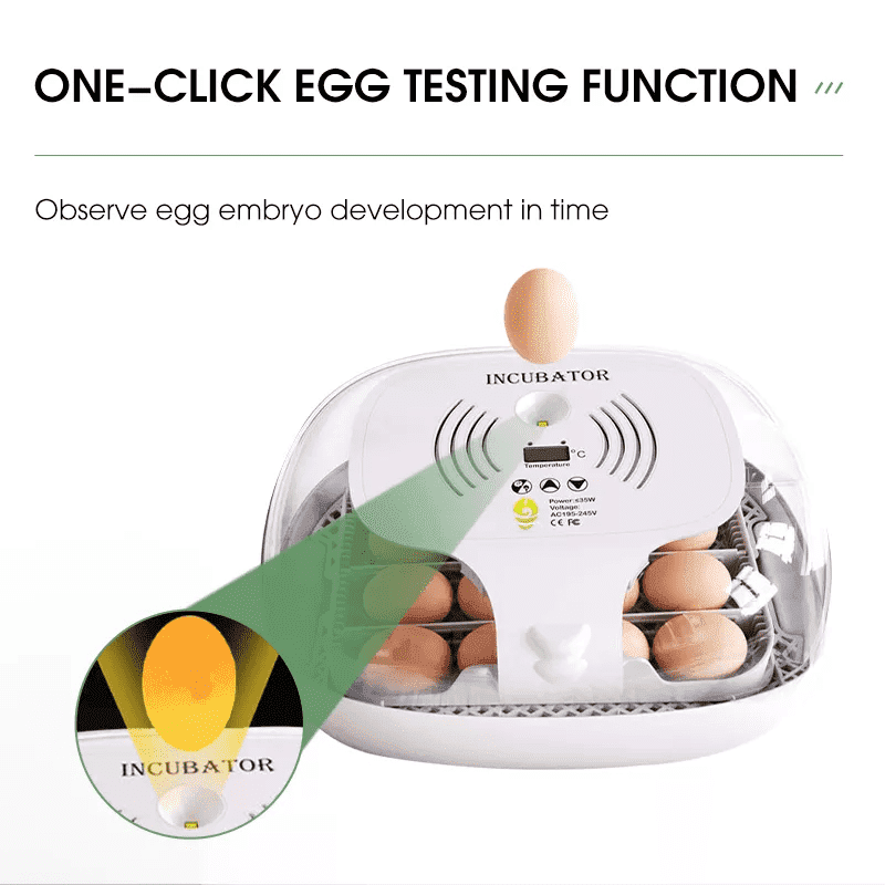 egg incubator (11)
