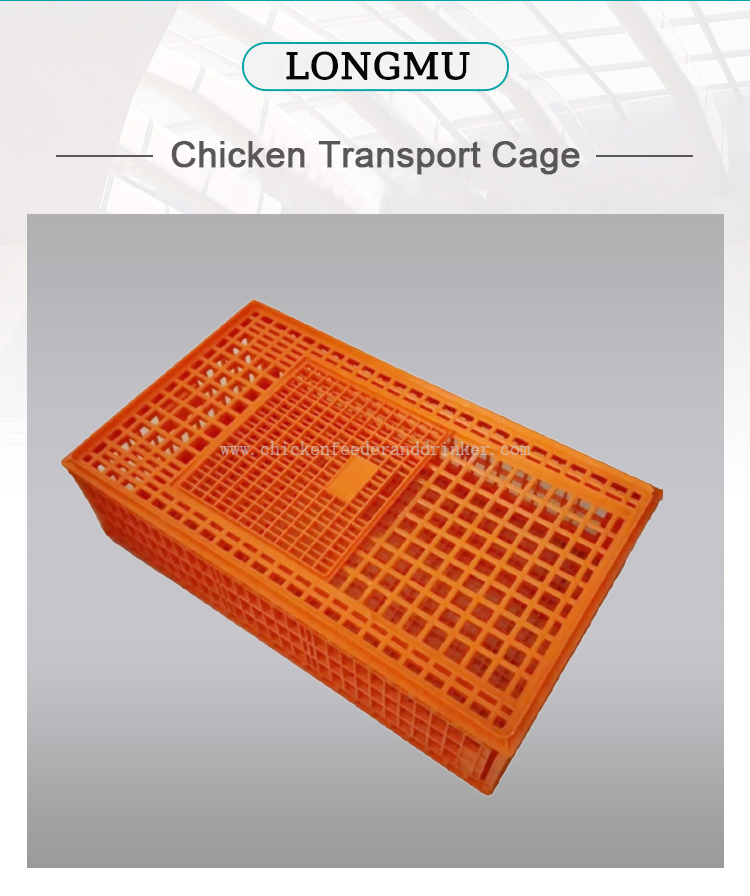 transport crate (1)