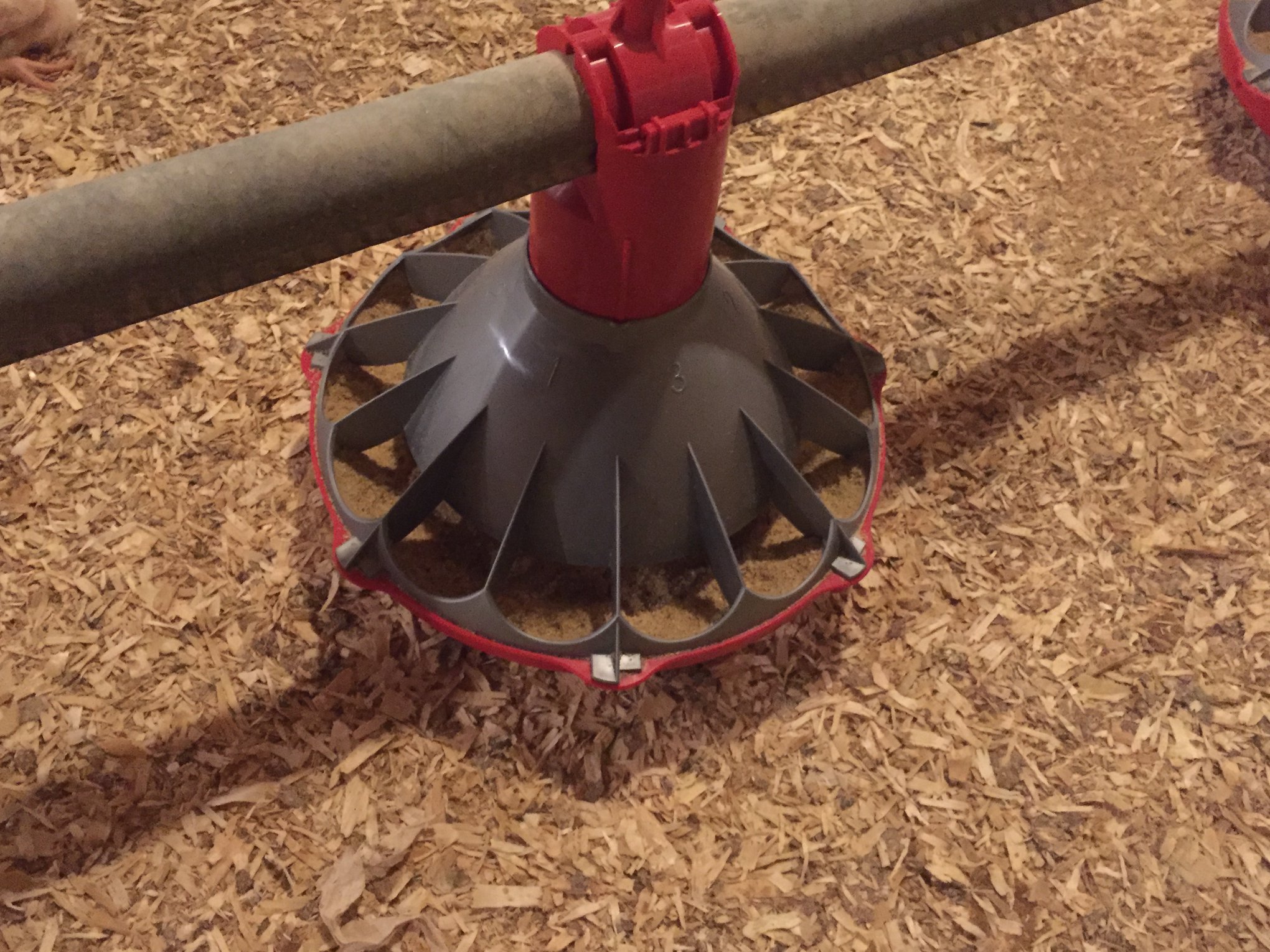 33487827_1774964902595065_6172751612268773376_n