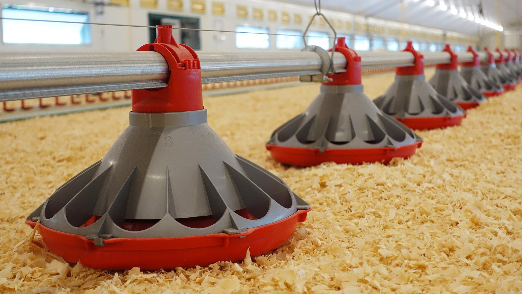 微信图片_20251031095024_7_2