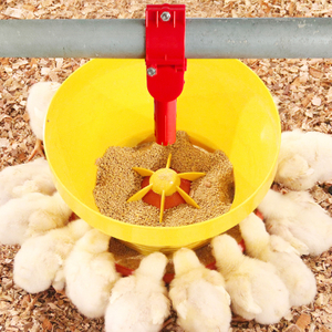 chicken feeder (3).jpg