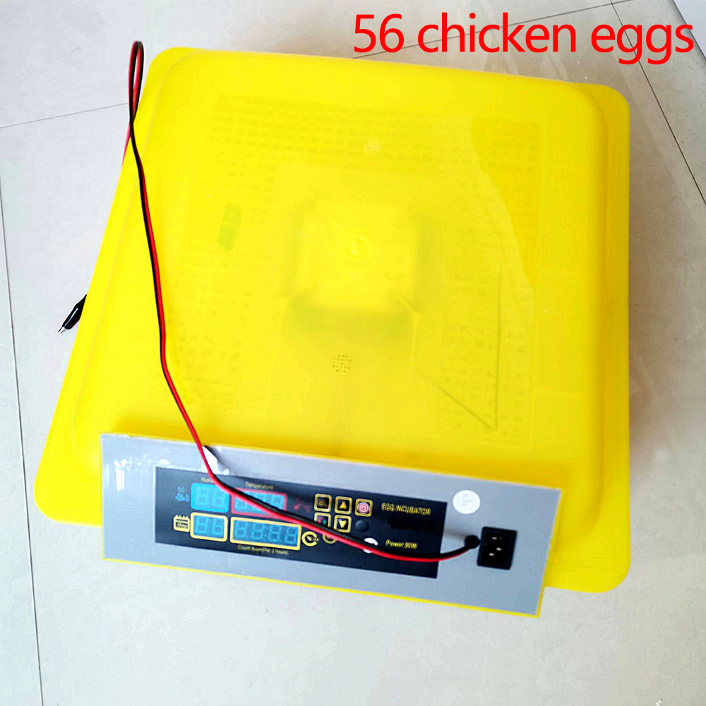 Mini Fully Automatic Egg Incubator Hatching Eggs Machine for 56 Chicken Egg Incubators Home Egg Incubators