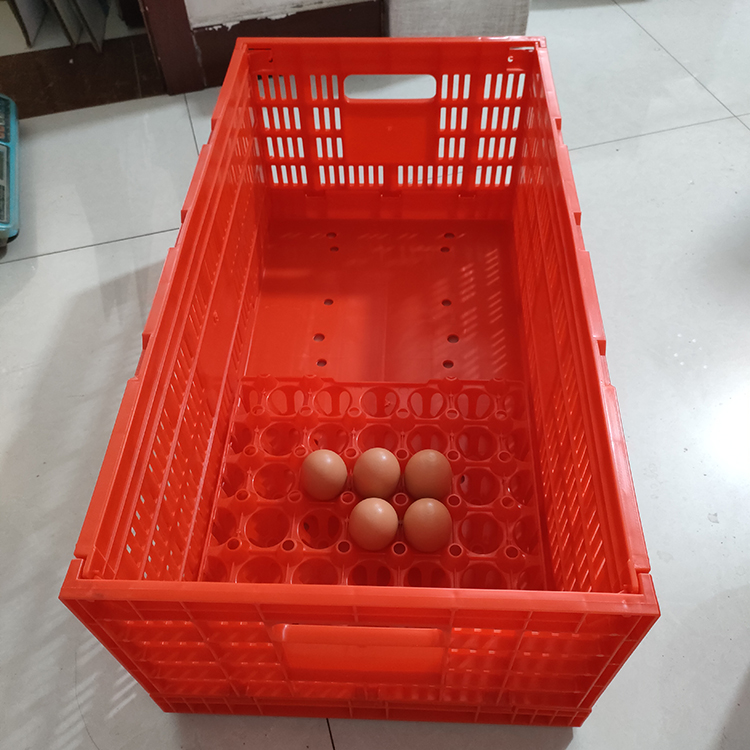 egg transport box (2)