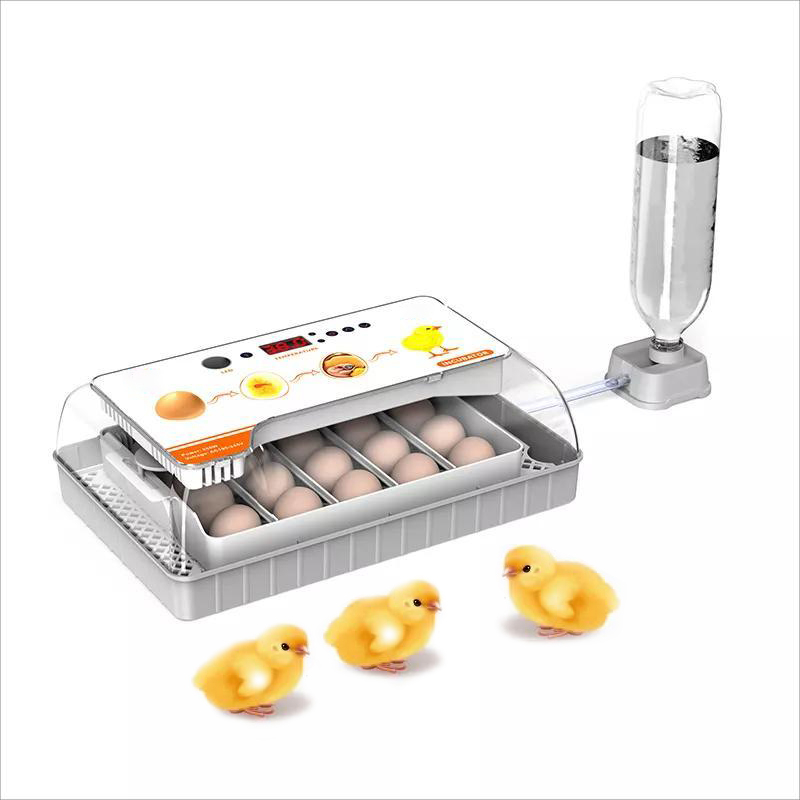 External Water Filling Device Automatic Chicken Egg Incubator Hatching 20 Eggs Capacity