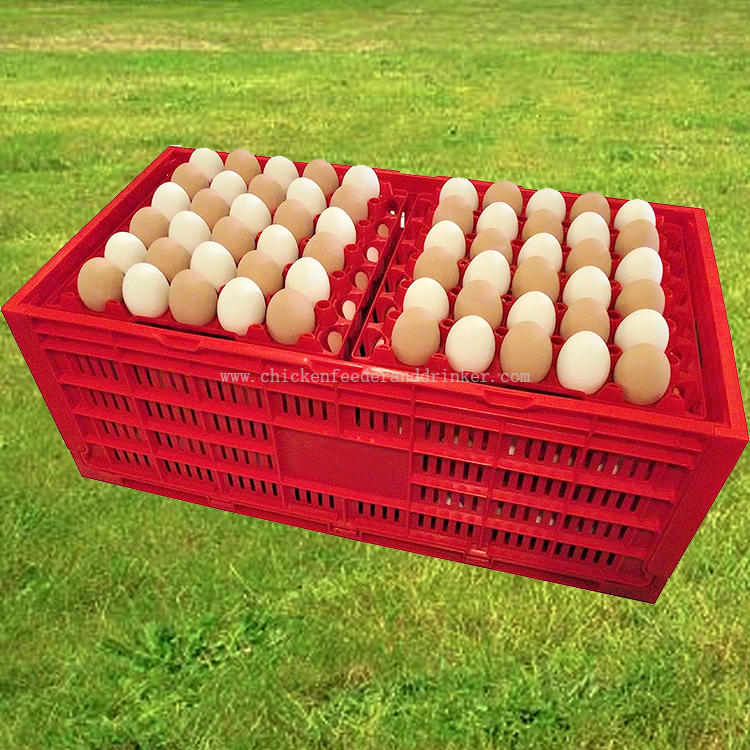 egg transport crate (3)