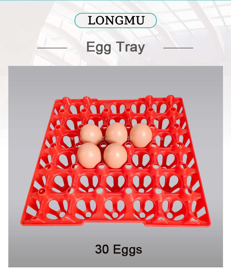 egg tray (2)