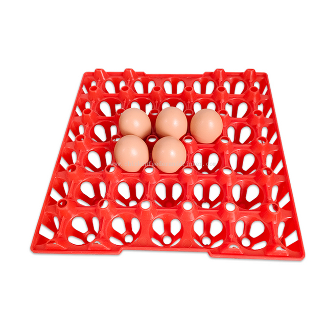 Plastic Egg Tray For 30 Chicken Eggs Stackable Egg Pallet Poultry Equipment LM-86