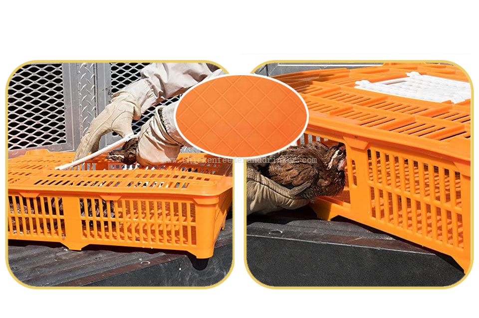 quail transport cage11