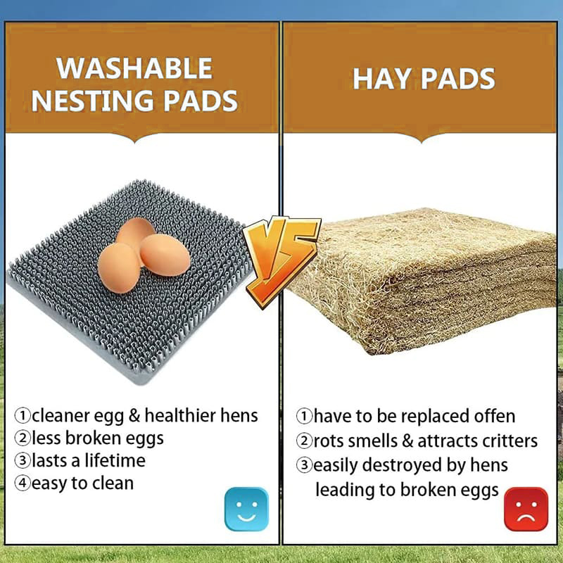 egg nexting pad (1)