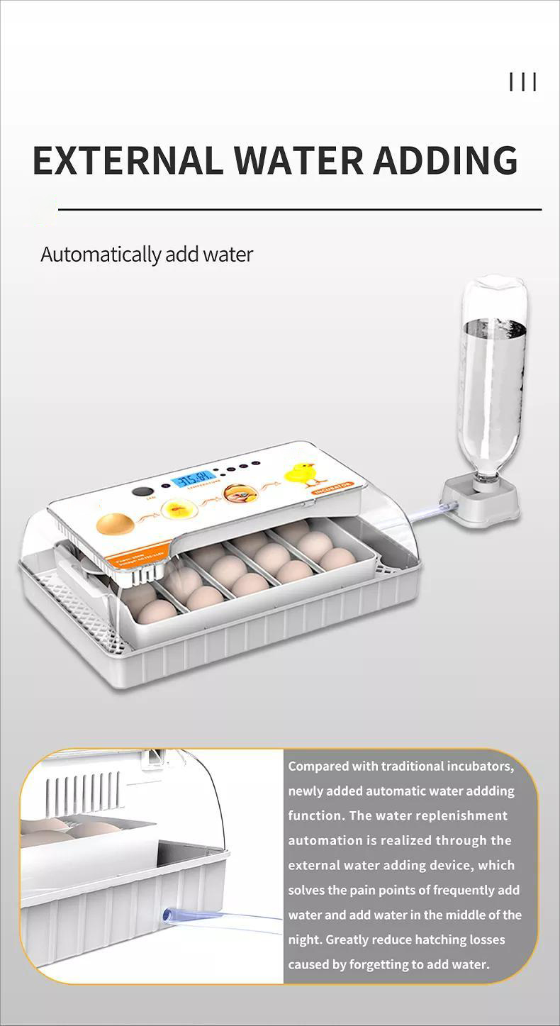 egg incubator (1)