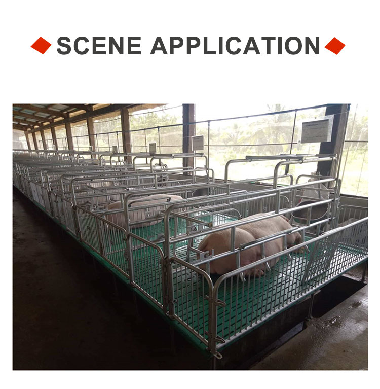 Sow Farrowing Crate