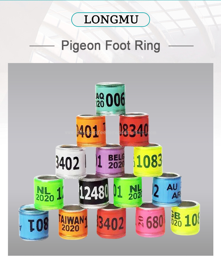 pigeon foot ring (3)