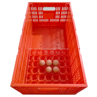 Chicken Farm Products Egg Tray Carton Collapsible Egg Transport Crate Chicken Shipping Poultry Case LMC-05