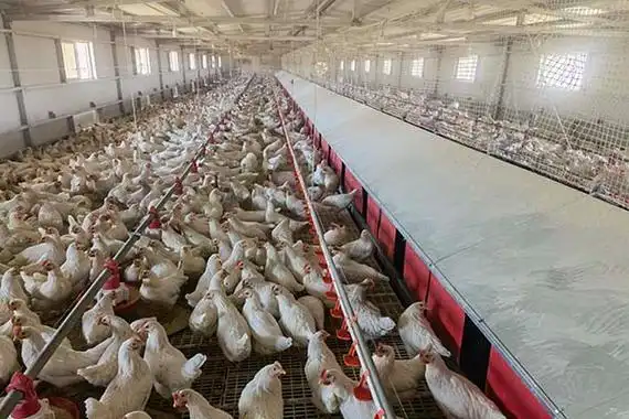 u=2949435208,3638646807&fm=253&fmt=auto&app=138&f=JPEG.webp